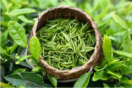 茶叶水去痘