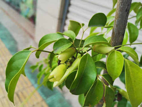 皮肤越来越差 其实是你陷入护肤误区